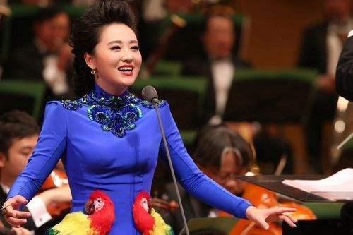 周旋个人资料,才华横溢的影视演员，多面人生精彩纷呈