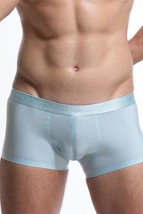 男子透明内裤照片,男子透明内裤照片引发的争议与反思